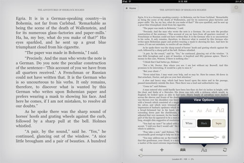 Kindle iPad Text