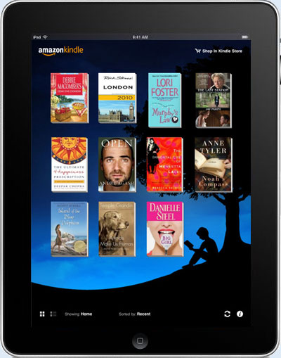 Kindle iPad App