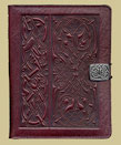 oberon nook cover 4